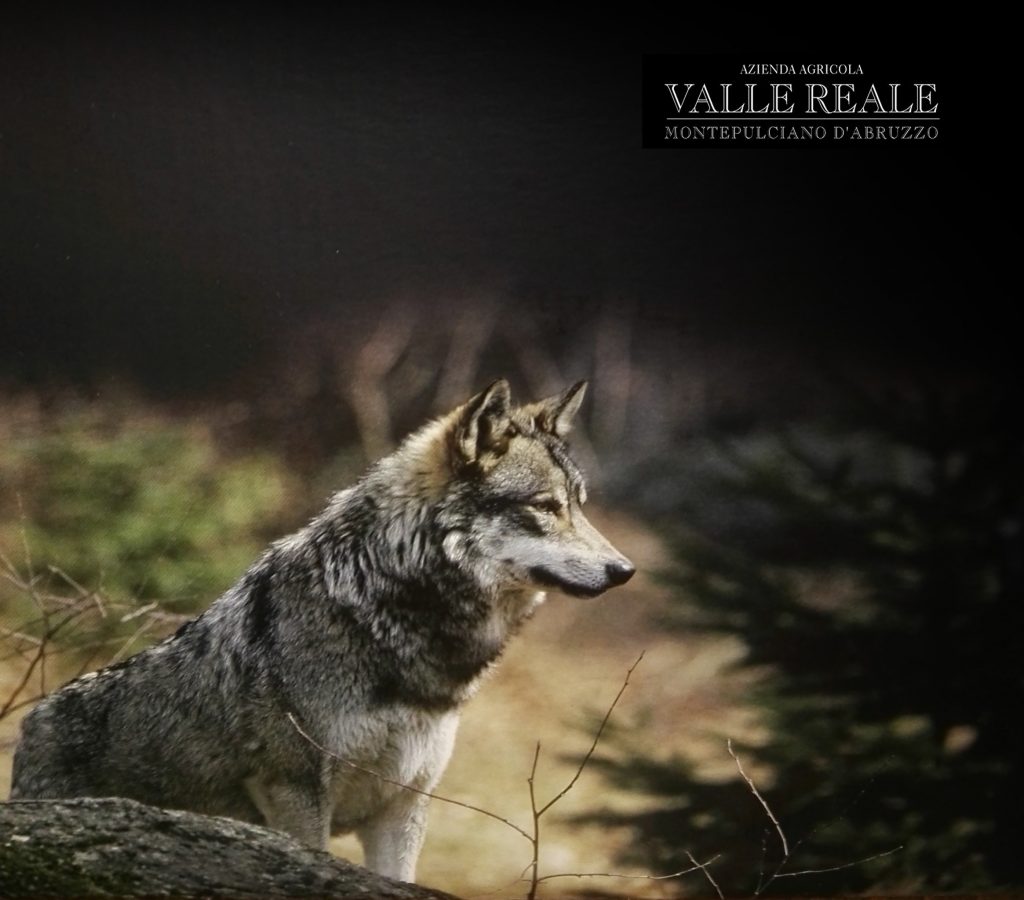 Le loup des Abruzzes comme emblème du domaine Valle Reale