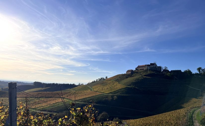 Pourquoi parle-t-on de vins vivants ?